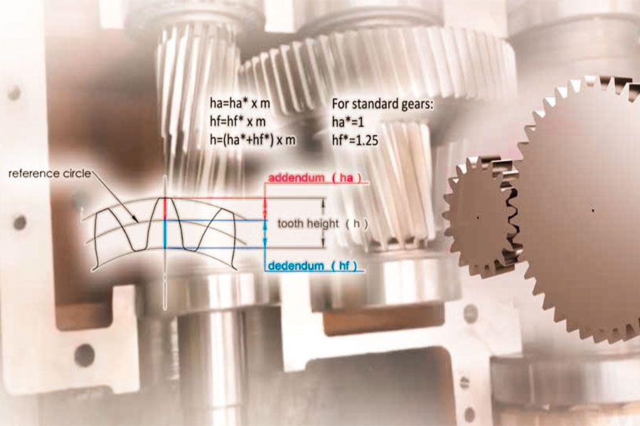 Standard vs. Custom Gears: